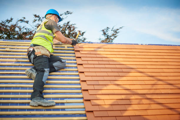Best Gutter Installation and Repair  in Mill Valley, CA